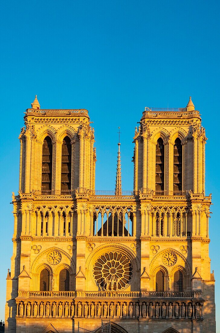 France, Paris, the cathedral Notre Dame de Paris