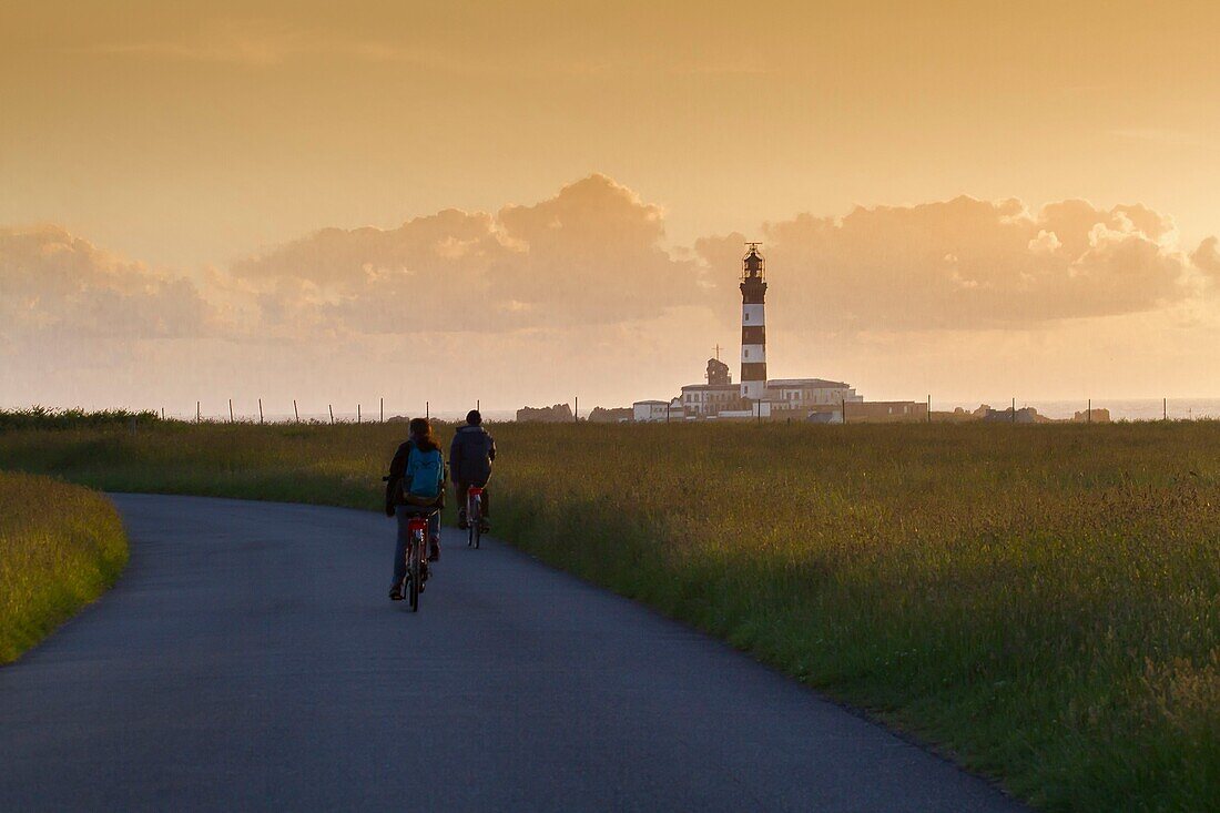 France, Finistere, Ponant Islands, Armorica Regional Nature Park, Iroise Sea, Ouessant Island, Biosphere Reserve (UNESCO), Hikers on bicycles towards Pointe de Pern and Créac'h Lighthouse