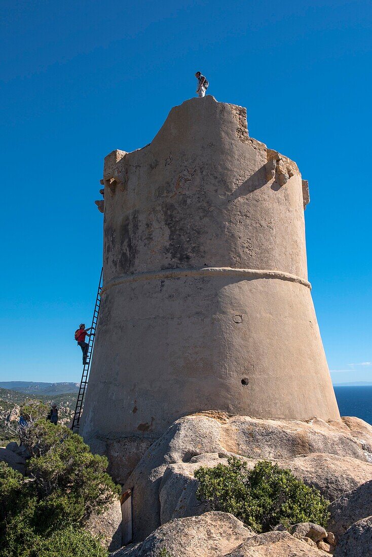 France, Corse du Sud, Campomoro, Tizzano, hiking on the coastal path in the Senetosa reserve, above the lighthouse, the Genoese tower, a metal ladder allows access to the summit platform