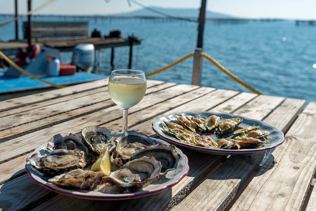 Frankreich, Herault, Loupian, Teller mit Austern und ein Glas Weißwein mit der Lagune von Thau im Hintergrund