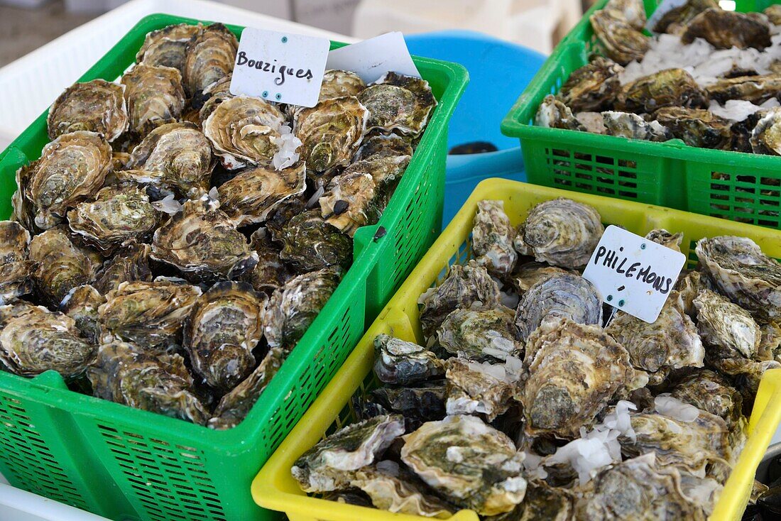 France, Herault, Bouzigues, hampers of oysters