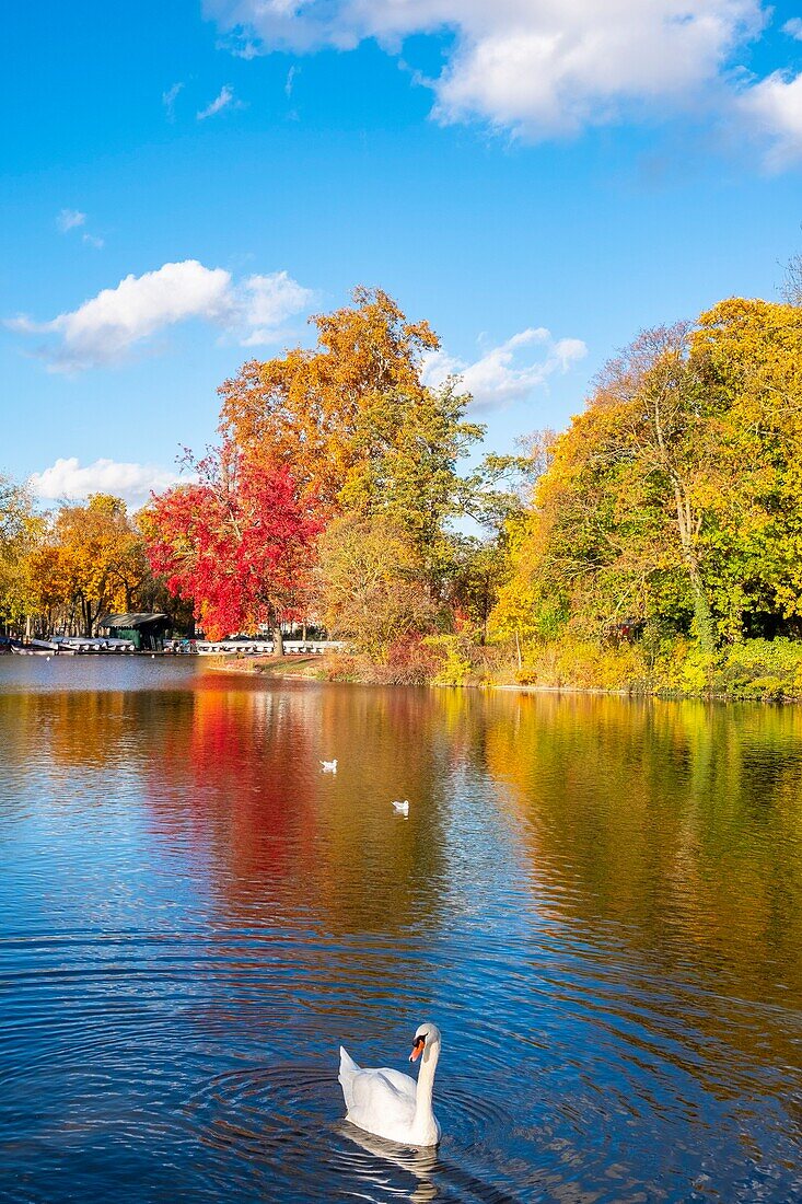 Frankreich, Paris, der Bois de Vincennes im Herbst, der Daumesnil-See