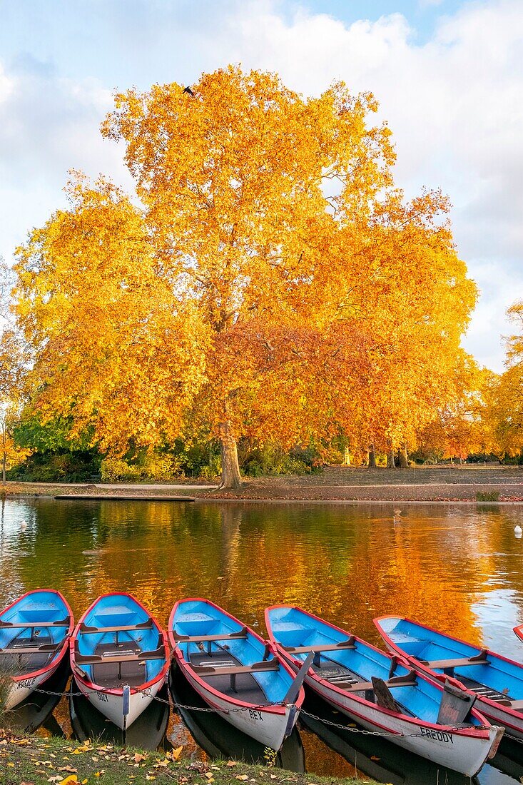 France, Paris, the Bois de Vincennes in autumn, Lake Daumesnil