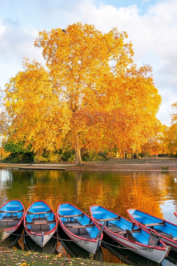 Frankreich, Paris, der Bois de Vincennes im Herbst, Daumesnil-See