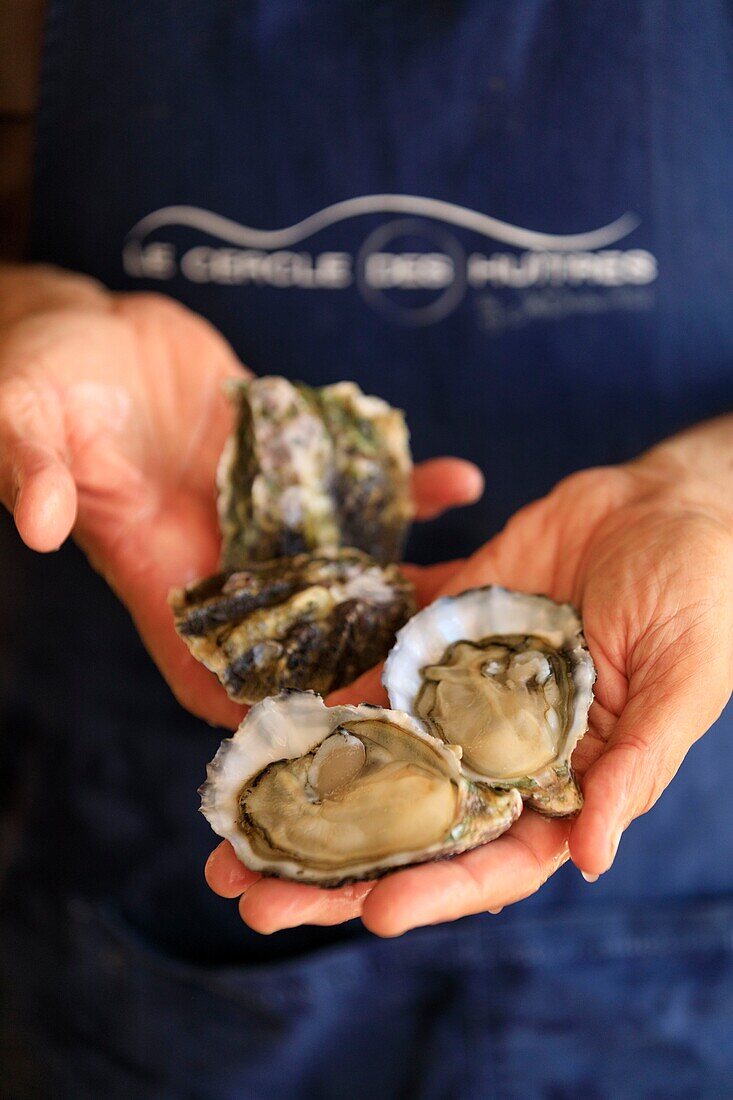 France, Herault, Bouzigues, The Circle of Oysters, oyster farmer and restaurateur