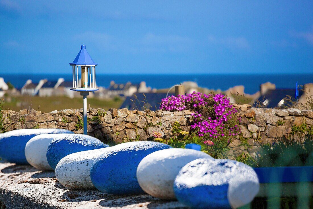 France, Finistere, Ponant islands, Regional Natural Park of Armorica, Iroise Sea, Ouessant island, Biosphere Reserve (UNESCO), Lampaul, Ouessantin garden