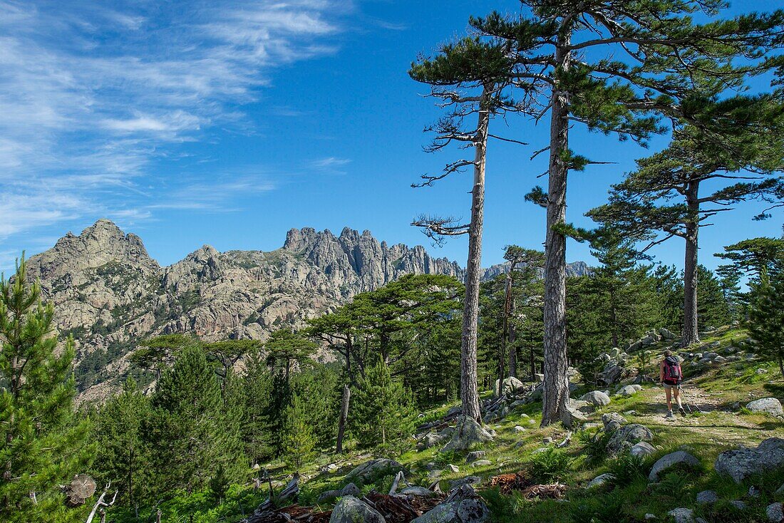 France, Corse du Sud, Alta Rocca, Bavella pass, hike to the bomb hole, U Tafunu di u Compuleddu, and the needles of Bavella