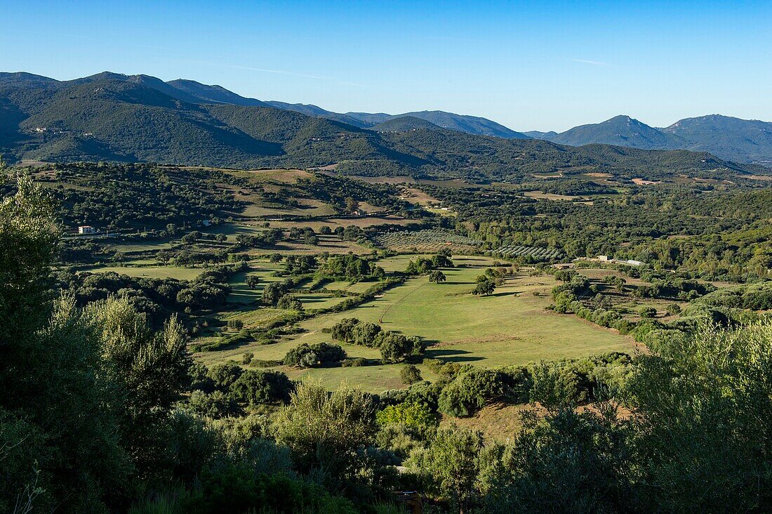 Frankreich, Corse du Sud, Alta Rocca, die fruchtbare Ebene des Rizzanese, gesehen von Sainte Lucie von Tallano