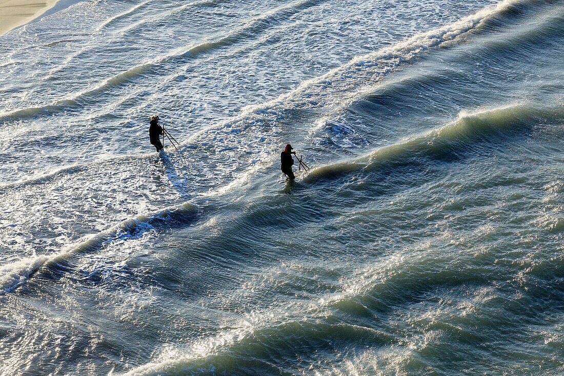 France, Bouches du Rhone, Camargue Regional Nature Park, Saintes Maries de la Mer, Beauduc Beach, Tellin fishing (aerial view)