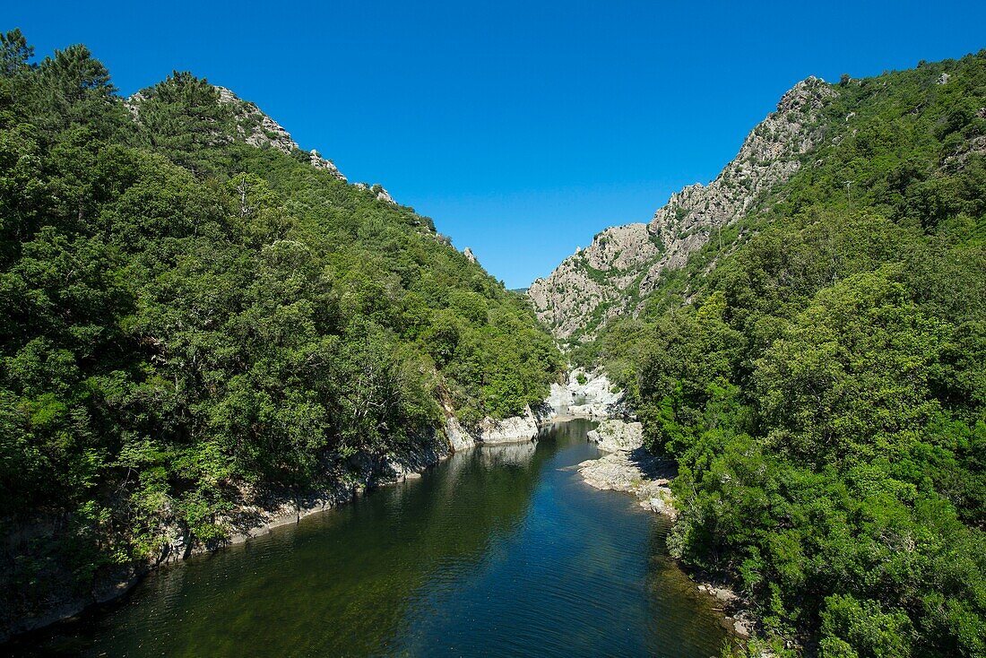 France, Haute Corse, Ghisoni, the Fium Orbu torrent at the Sampolo bridge