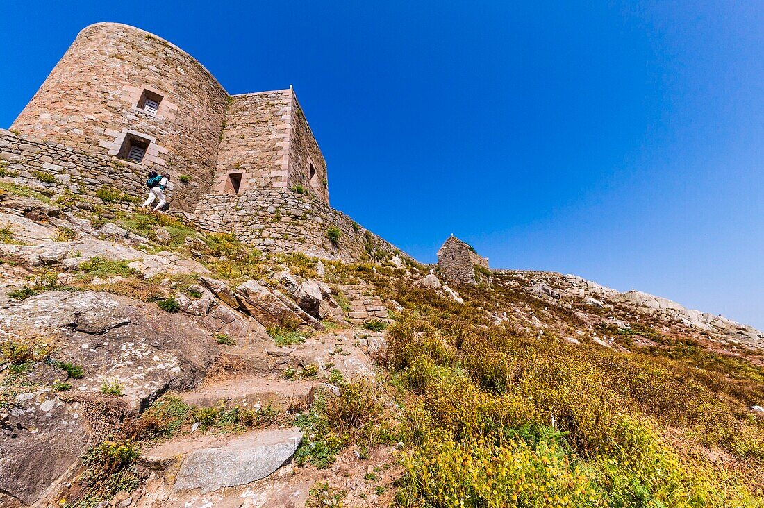 France, Cotes d'Armor, Perros Guirec, archipelago and ornithological reserve of Sept Iles, Ile aux Moines, old fort