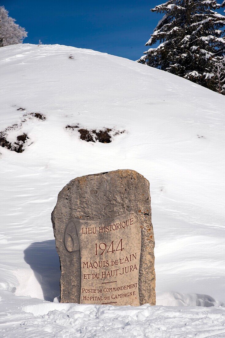 France, Jura, GTJ great crossing of the Jura on snowshoes, La Borne au Lion above the Pesse