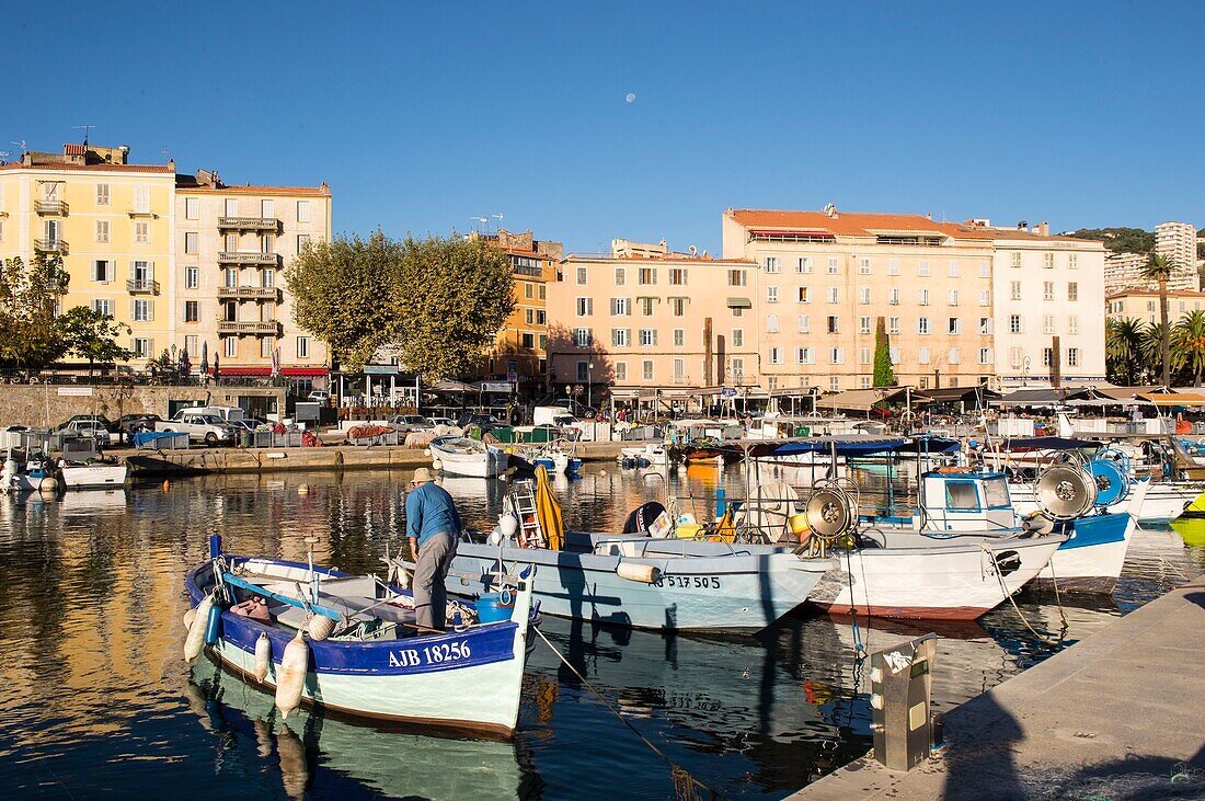 Frankreich, Corse du Sud, Ajaccio, viele hölzerne Fischerboote beleben den Hafen Tino Rossi vor den Fassaden der Altstadt am Morgen