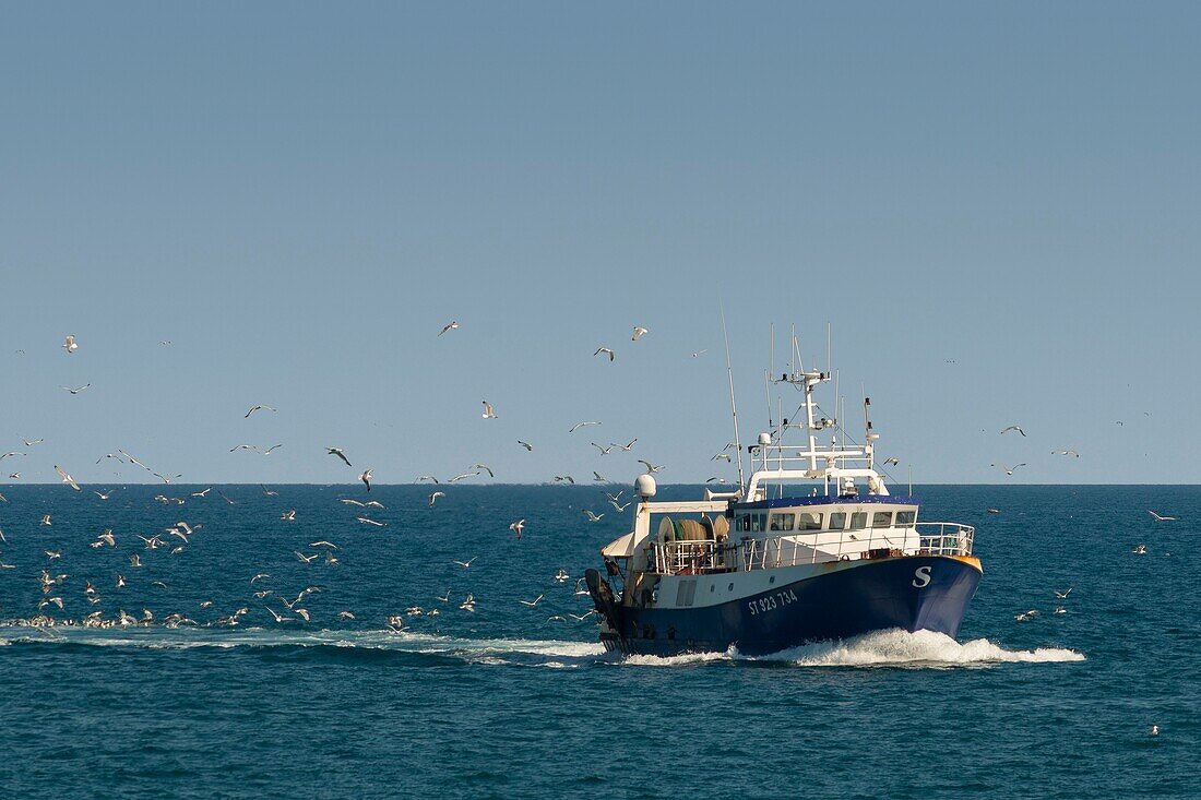 Frankreich, Herault, Sete, Trawler der Rückkehr der Fischerei