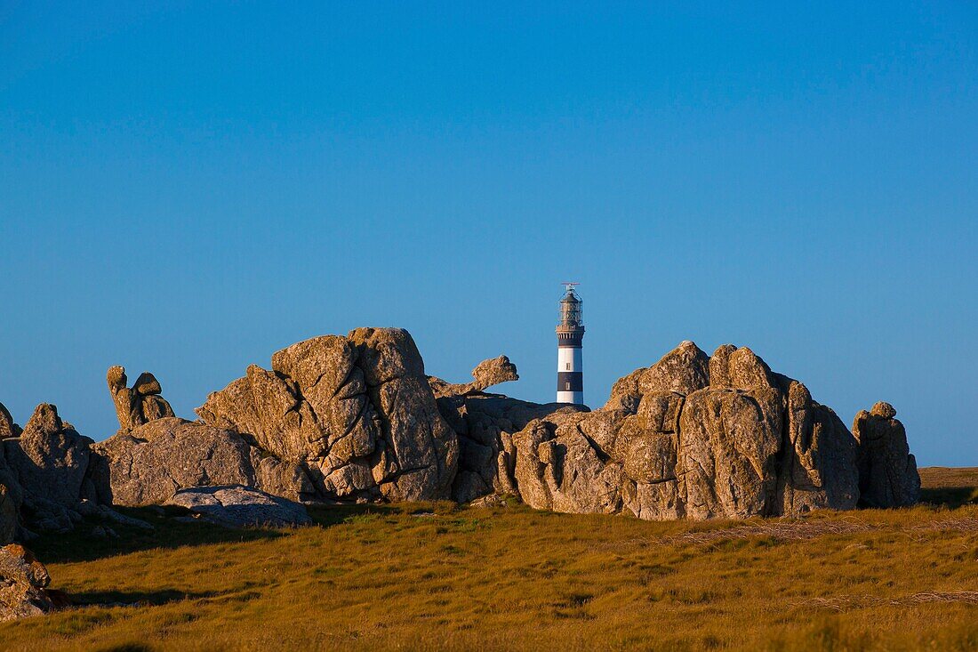 Frankreich, Finistere, Ponant-Inseln, Regionaler Naturpark Armorica, Meer der Iroise, Insel Ouessant, Biosphärenreservat (UNESCO), Leuchtturm von Créac'h hinter den Felsen