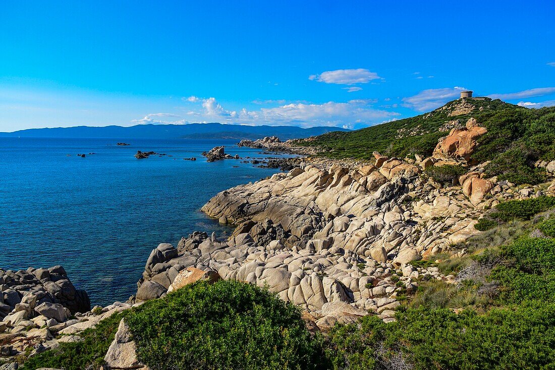 France, Corse du Sud, Campomoro, Tizzano, coastal path in the Senetosa reserve, the shore and the Genoese tower of Campomoro