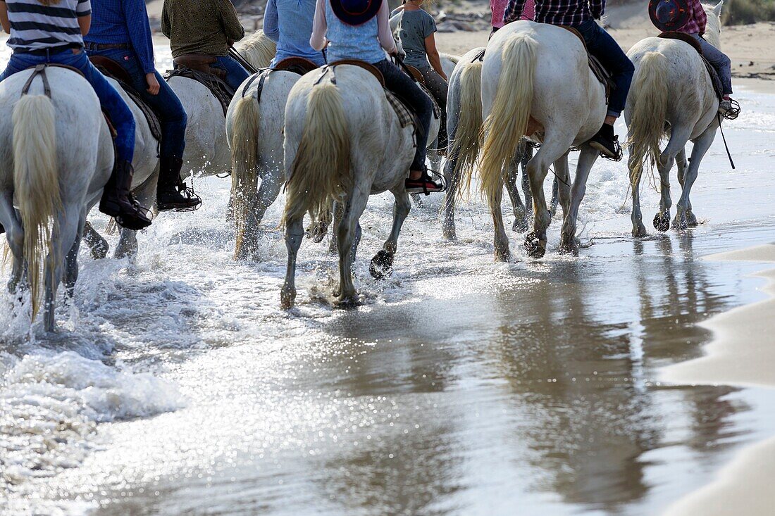 France, Bouches du Rhone, Camargue Regional Natural Park, Saintes Maries de la Mer, The Four Maries, beach, equestrian hike