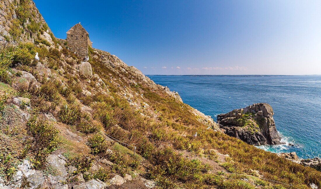 France, Cotes d'Armor, Perros Guirec, archipelago and ornithological reserve of Sept Iles, Ile aux Moines, old fort