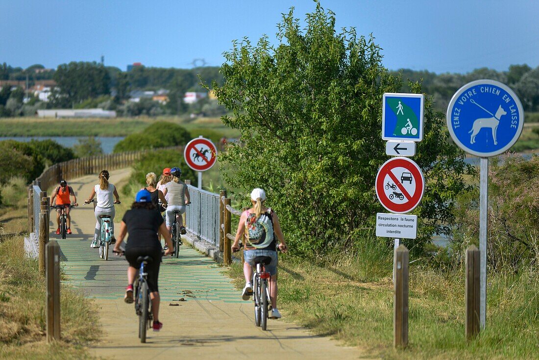 France, Herault, Bouzigues, cyclists on a cycle track