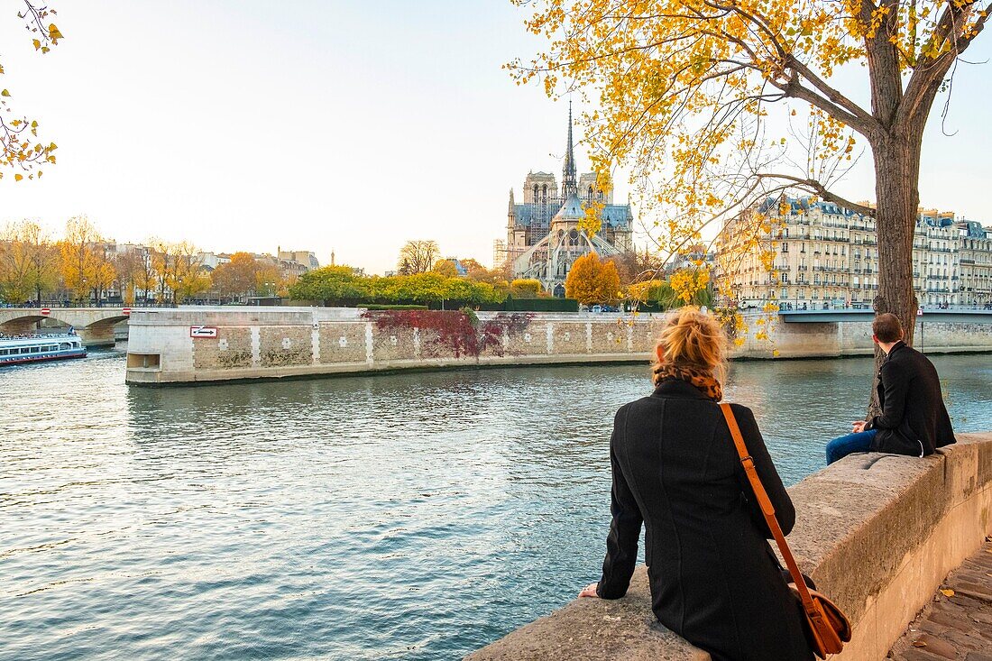 Frankreich, Paris, Blick auf die Insel Saint Louis und die Kathedrale Notre Dame im Herbst