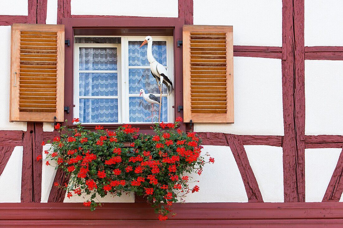 France, Haut Rhin, Route des Vins d'Alsace, Eguisheim labelled Les Plus Beaux Villages de France (One of the Most Beautiful Villages of France), facade of a traditional house
