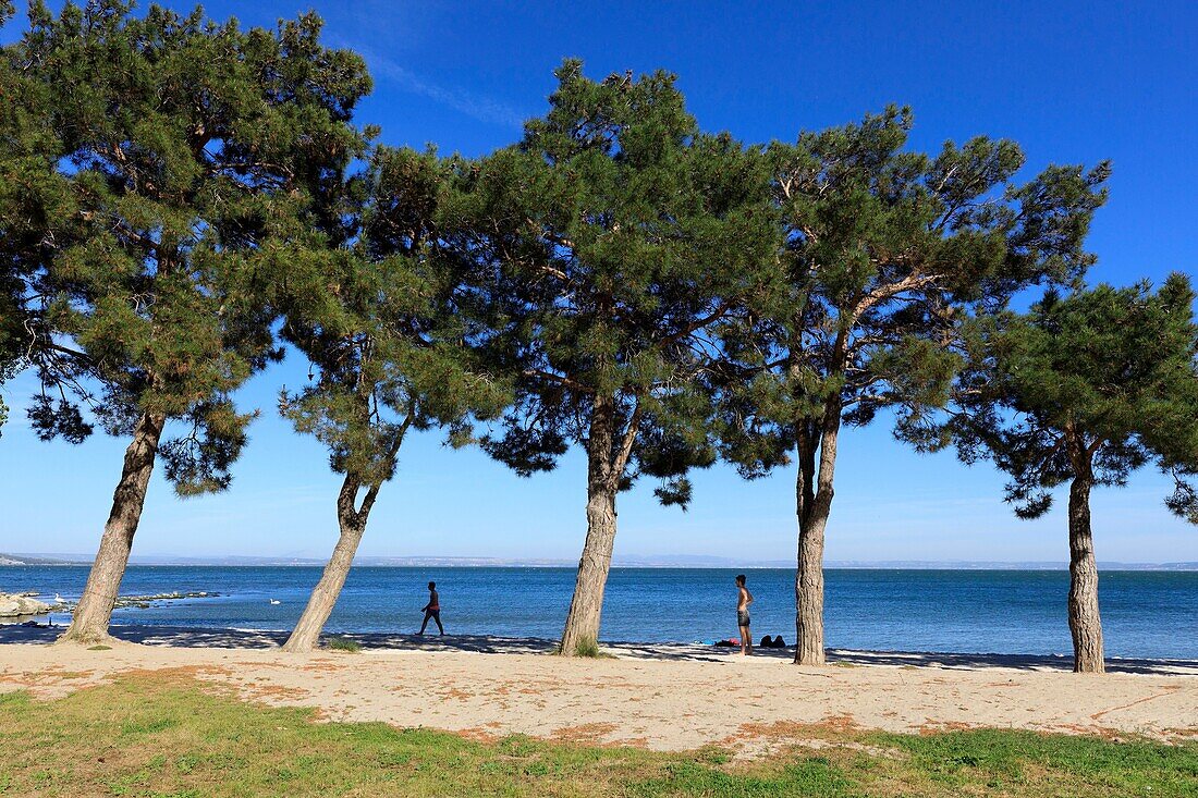 Frankreich, Bouches du Rhone, Istres, Teich von Berre, Strand von La Romaniquette