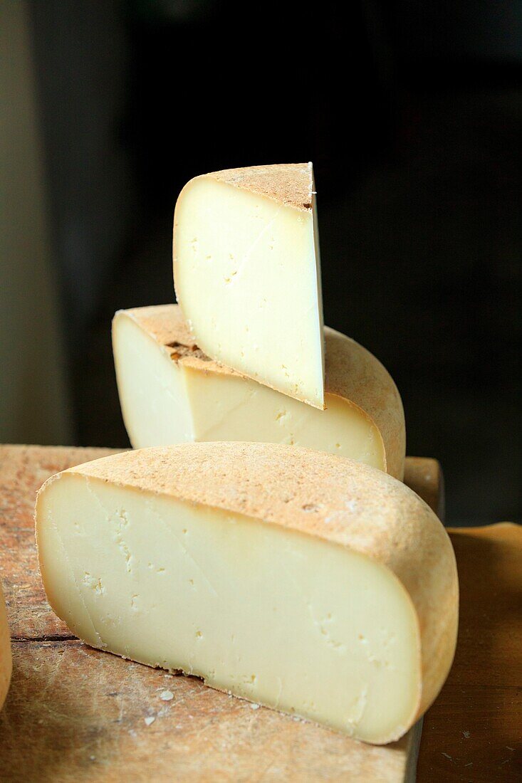 France, Pyrenees Atlantique, Laruns, cheese dairy Gaec Peyrole, ewe