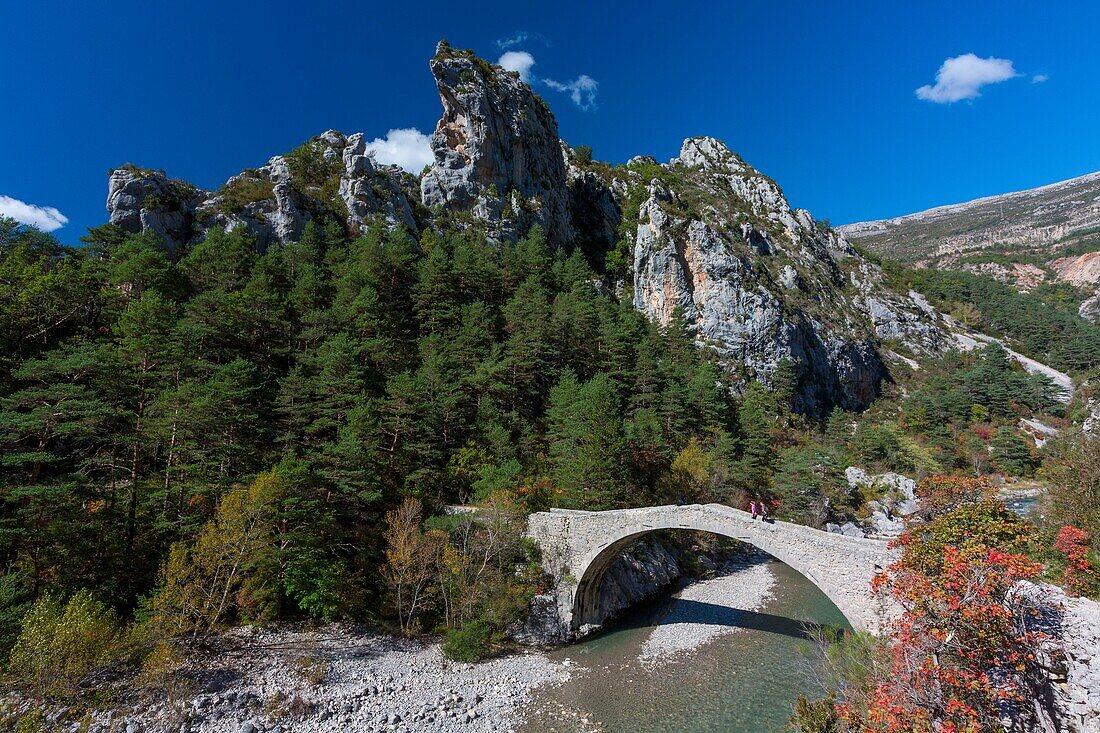 France, Alpes-de-Haute-Provence, Verdon Regional Natural Park, Grand Canyon du Verdon, the GR49 trail crosses the Tusset bridge over the Verdon river