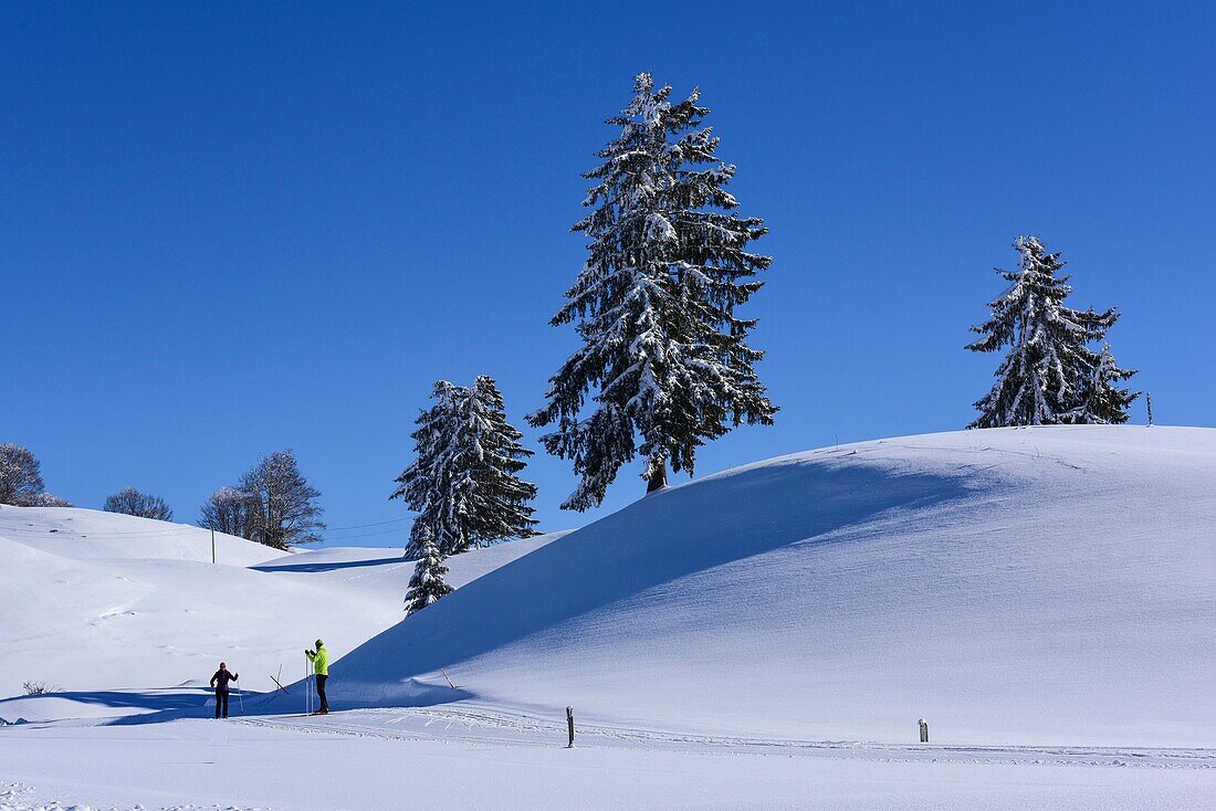 Frankreich, Jura, GTJ, große Juradurchquerung auf Schneeschuhen, schneebedeckte Landschaft der Hochebene Hautes Combes