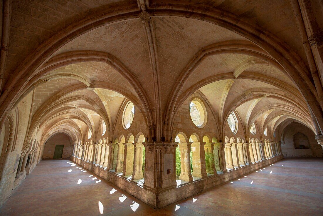 France, Herault, Villeveyrac, Valmagne abbey of the XIIth century, arches of the convent
