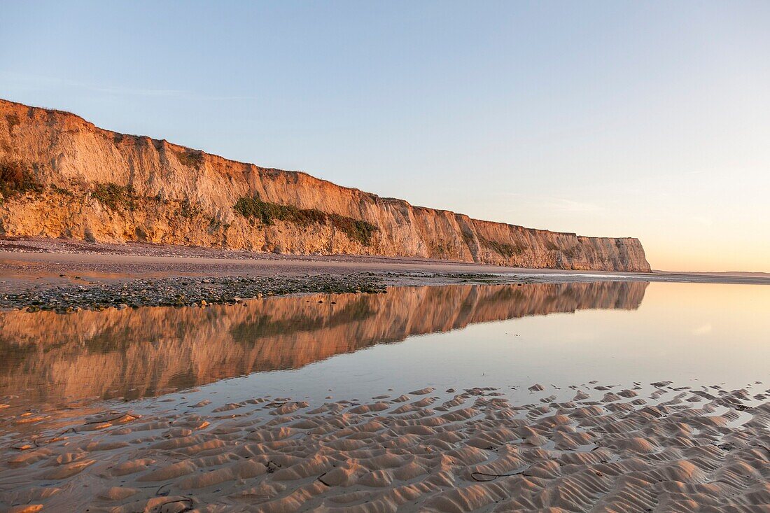 France, Pas de Calais, Cote d'Opale, Regional Natural Park of the Caps and Opal Marsh, Cap Blanc Nez, limestone cliffs