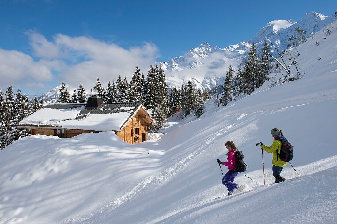 France, Haute Savoie, Massif of the Mont Blanc, the Contamines Montjoie, trails round in rackets with snow from the tracks of the Stage towards the chalet of Joux