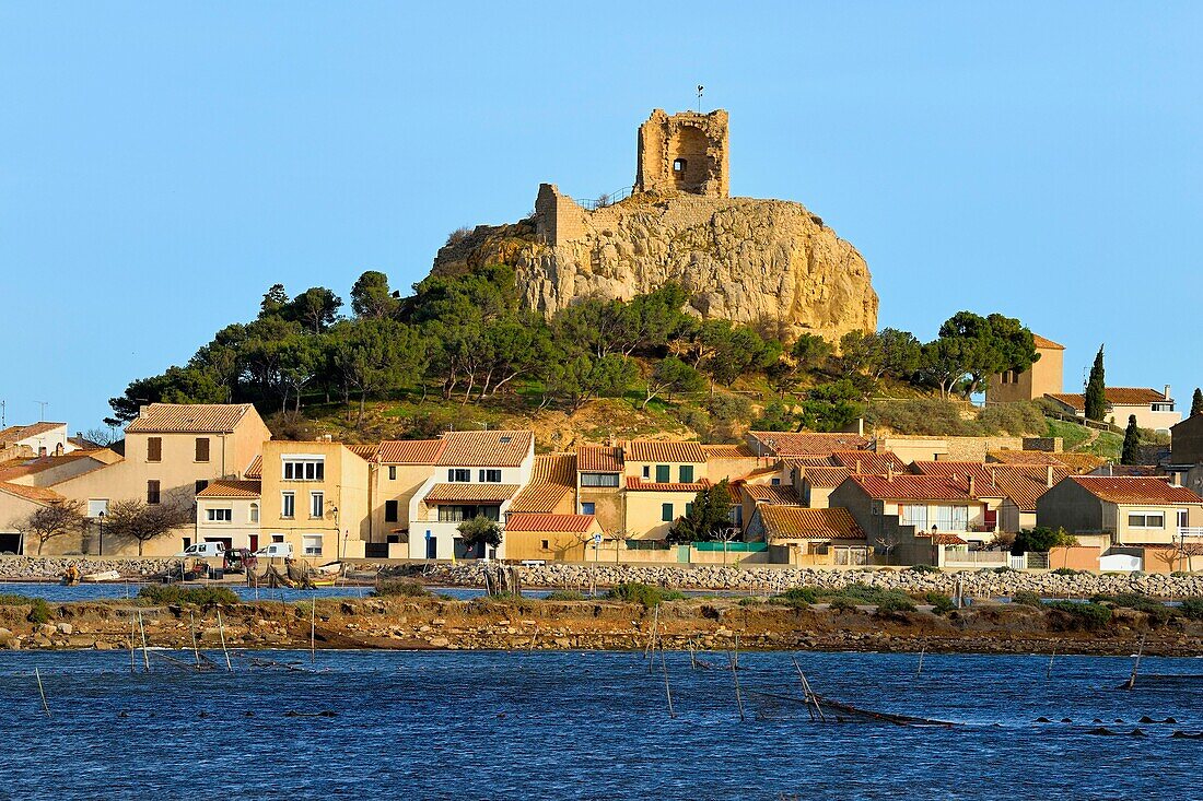 France, Aude, Narbonne, Corbieres, Gruissan, the old village and the castle, medieval military fortress dominated by the 13th century Barberousse Tower