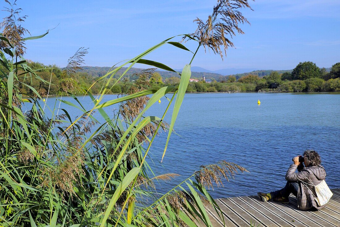 Frankreich, Territoire de Belfort, Belfort, Etang des Forges, Ponton, Beobachtungsfernglas auf dem Weg, mit Blick auf das Dorf Offemont, die Vogesen