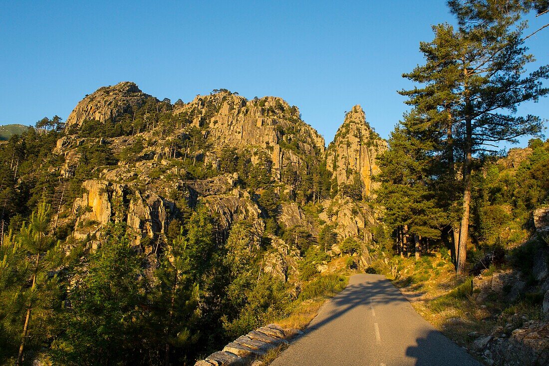 Frankreich, Haute Corse, Corte, Restonica-Tal, Sonnenaufgang in den Schluchten und Pinienwäldern und dem Monte Leonardo