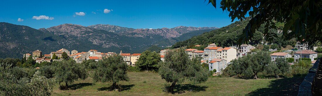 France, Corse du Sud, Alta Rocca, Sainte Lucie of Tallano, general view from the old convent of Saint Francois and the punta de Zibo and plantation olives, view panoramic