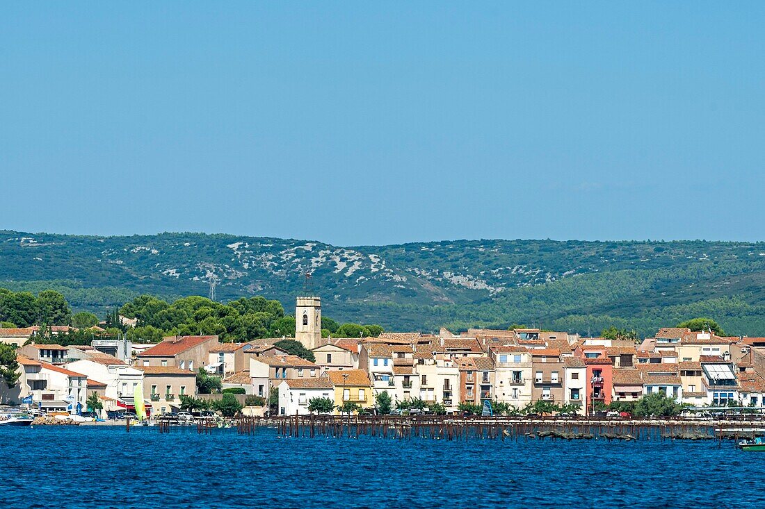 France, Herault, Bouzigues, oysters tables on the lagoon of Thau with a village in the background