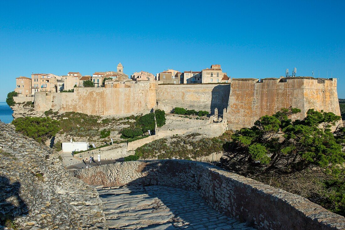 Frankreich, Corse du Sud, Bonifacio, die Zitadelle und die Bastion des Etendard von der Fußgängerzone auf den Klippen aus gesehen
