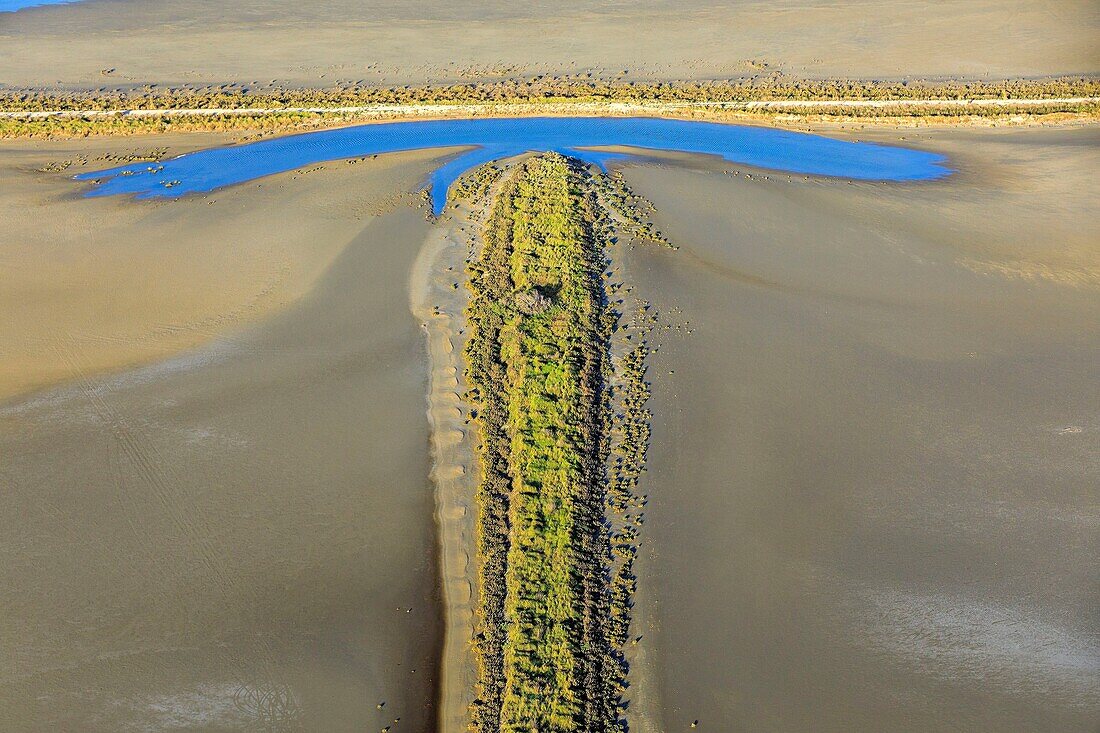 France, Bouches du Rhone, Camargue Regional Nature Park, Saintes Maries de la Mer, Galabert Pond (aerial view)