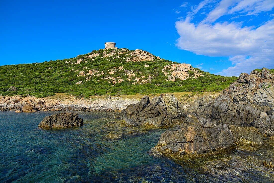 France, Corse du Sud, Campomoro, Tizzano, coastal path in the Senetosa reserve, hiking on the coastal path of the reserve and the Genoese tower of Campomoro