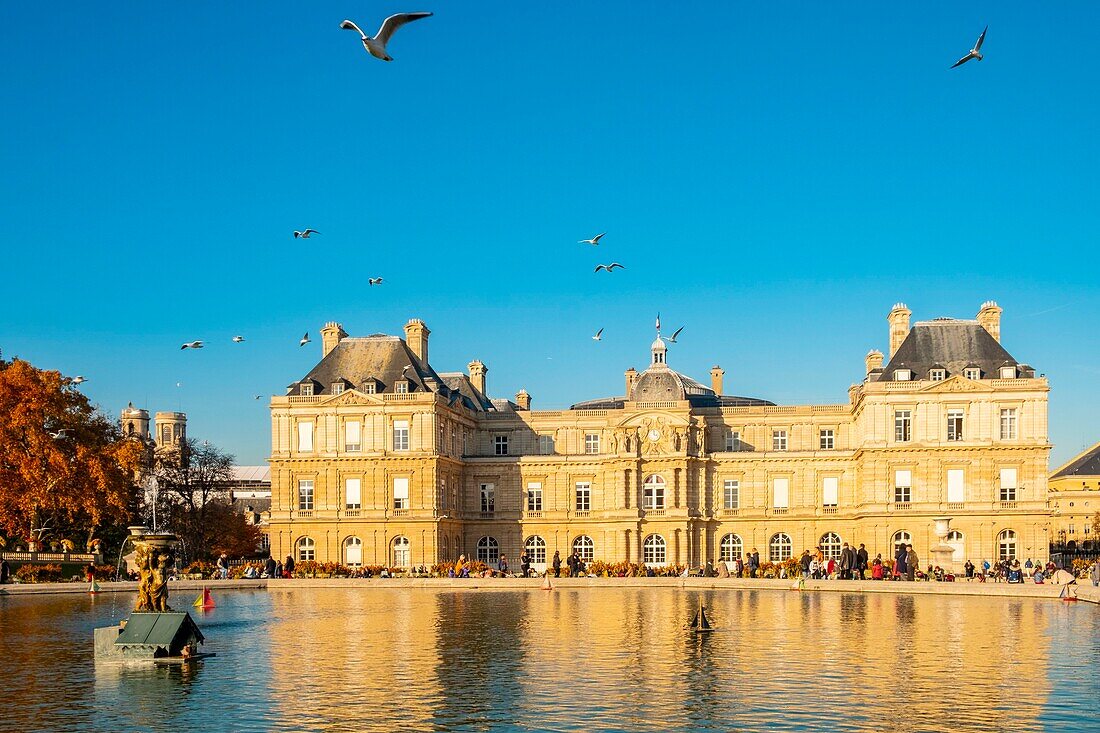 France, Paris, Luxembourg Garden in autumn, the basin and the palace of the Senate