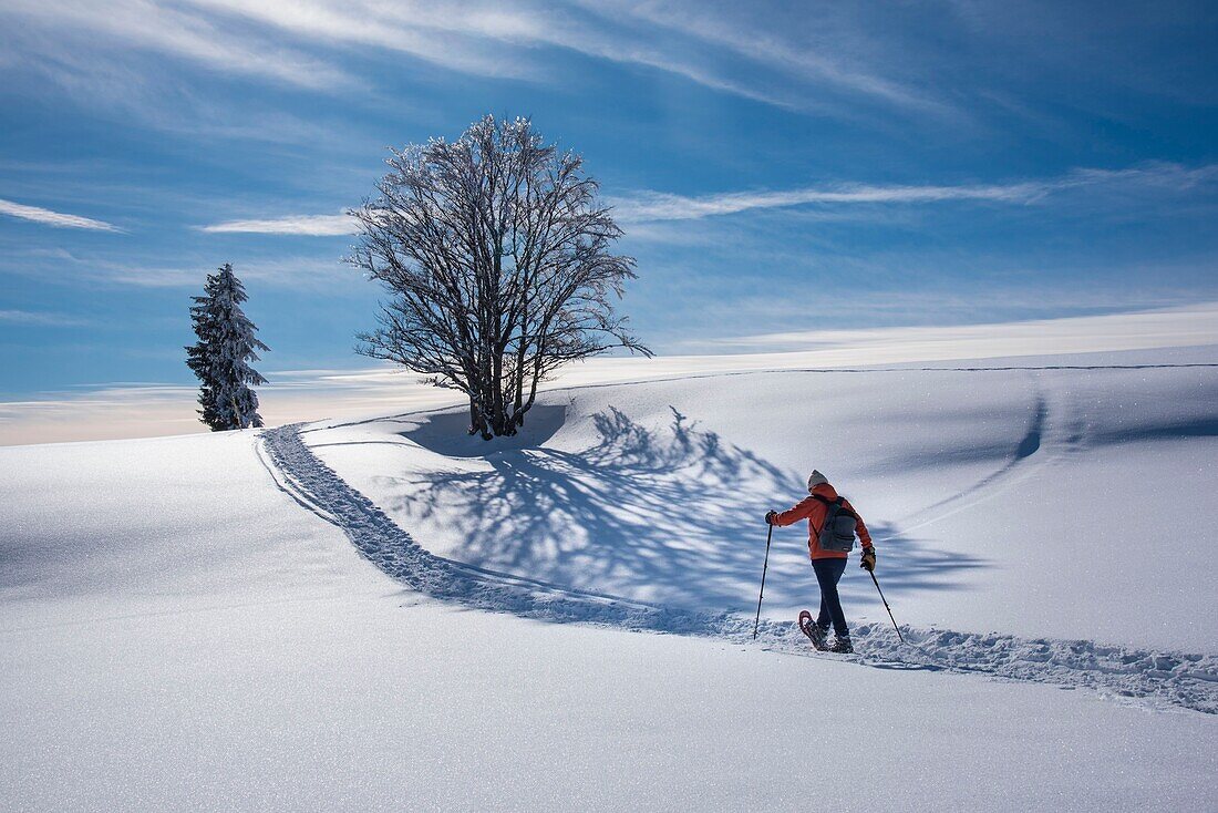 Frankreich, Jura, GTJ große Überquerung des Jura auf Schneeschuhen, Durchquerung majestätischer, schneebedeckter Landschaften in Richtung Molunes