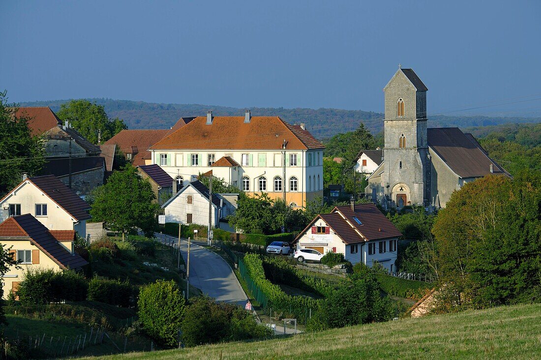 France, Territoire de Belfort, Saint Dizier l Eveque, village, Saint Dizier church dated 11th century