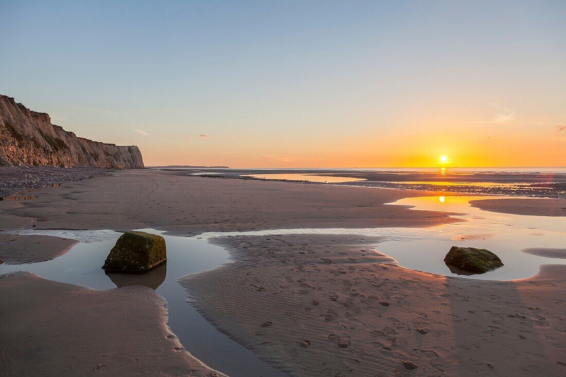 France, Pas de Calais, Cote d'Opale, Regional Natural Park of the Caps and Opal Marsh, Cap Blanc Nez, limestone cliffs