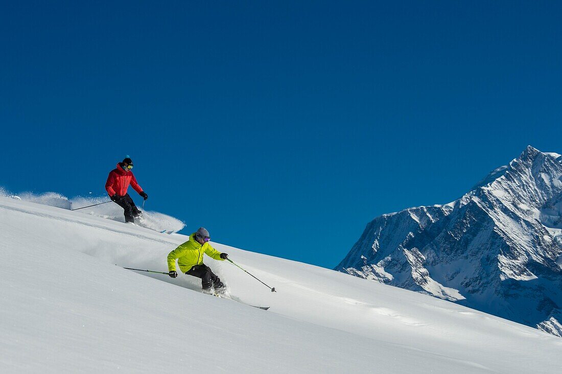 Frankreich, Haute Savoie, Massiv des Mont Blanc, die Contamines Montjoie, das Skifahren abseits der Pisten in Anführungsstrichen