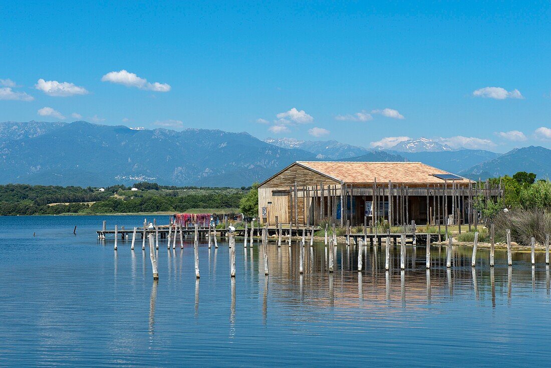 Frankreich, Haute Corse, östliche Ebene Ghisonaccia, der Teich von Urbino, Naturgebiet von ökologischem Interesse, faunistisch und floristisch, das Haus des Reservats