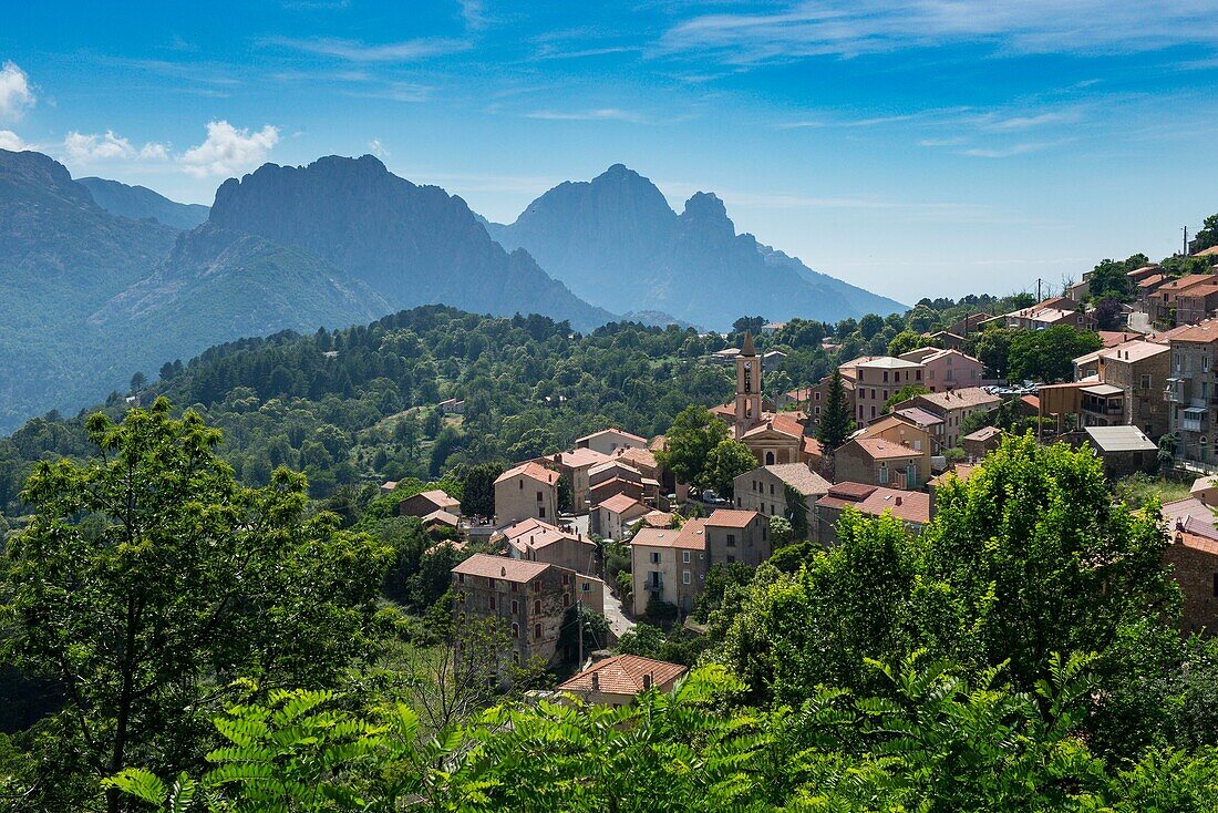 France, Corse du Sud, D 84, regional natural park, the village of Evisa and the Capu d'Orto