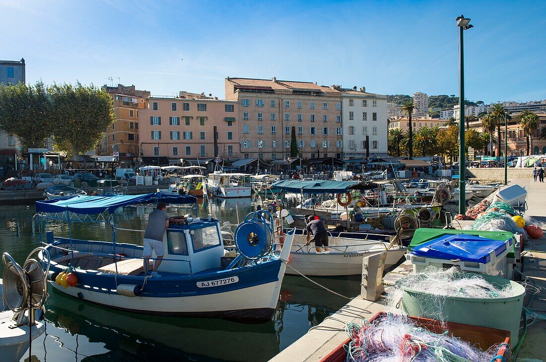 France, Corse du Sud, Ajaccio, many wooden fishing boats brighten up the port Tino Rossi in front of the facades of the old town