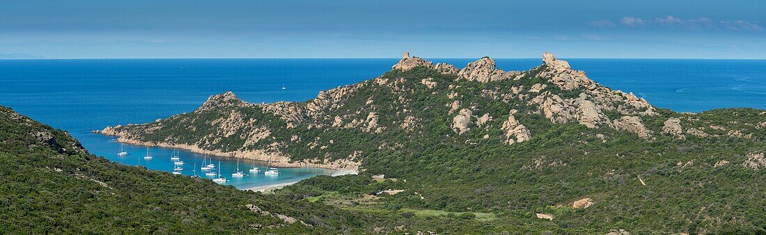 France, Corse du Sud, panoramic view of the belvedere of the national road on the cala de Roccapina, the Genoese tower and the rock of the lion