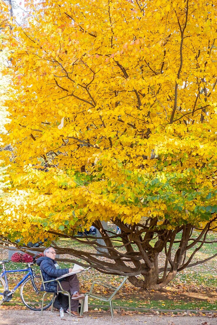 France, Paris, Luxembourg Garden in Autumn